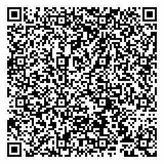 vCard 79807273810