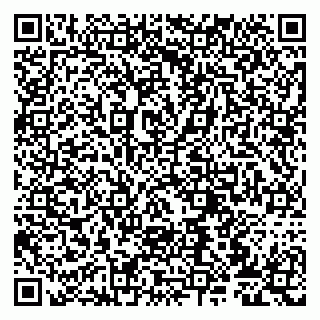 vCard 79807273819