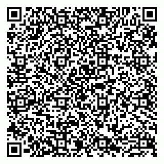 vCard 79807273829