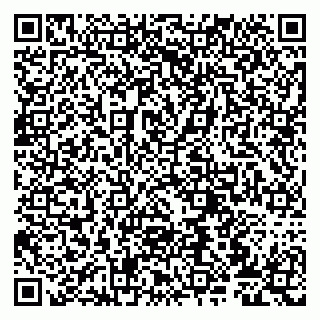 vCard 79807273838