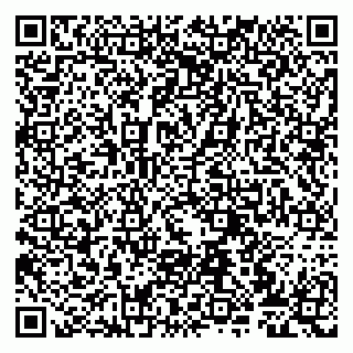 vCard 79807273847