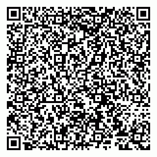 vCard 79807273848