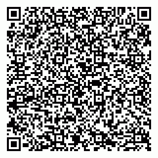 vCard 79807273850