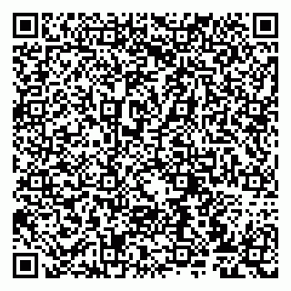 vCard 79807273873