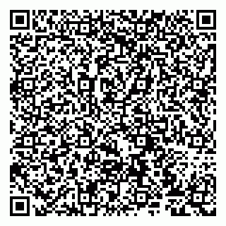 vCard 79807273875