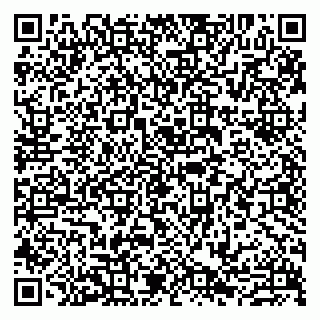 vCard 79807273876