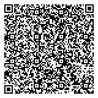 vCard 79807273878