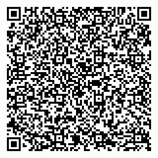 vCard 79807273879