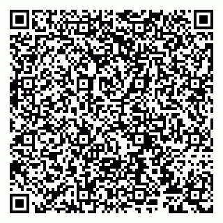 vCard 79807273880