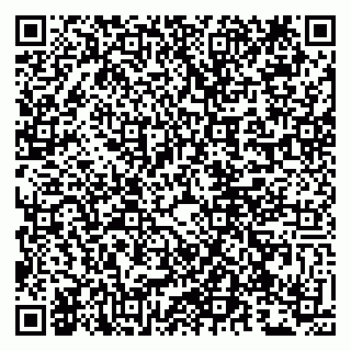 vCard 79807273881