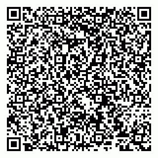 vCard 79807273887