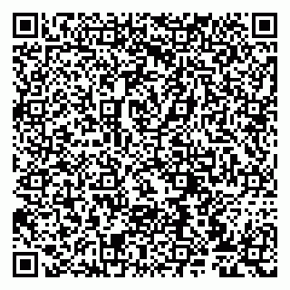 vCard 79807273889