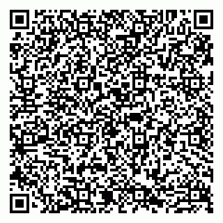 vCard 79807273899