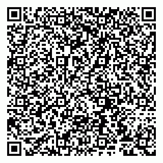vCard 79807273900