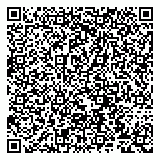 vCard 79807273901