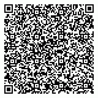 vCard 79807273902