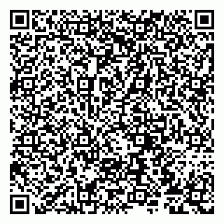 vCard 79807273903