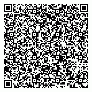 vCard 79807273920