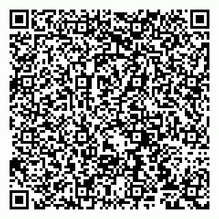 vCard 79807273933