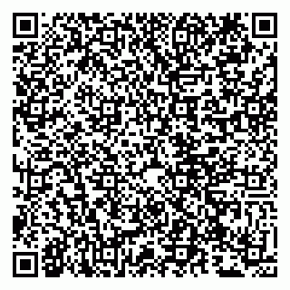 vCard 79807273981