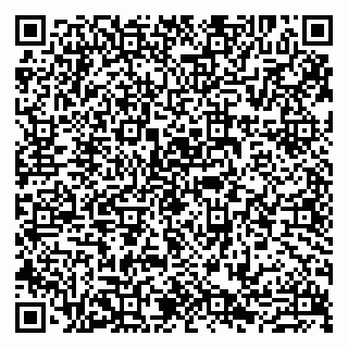 vCard 79807273984