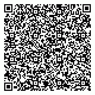 vCard 79807273987