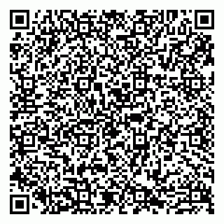 vCard 79807273998