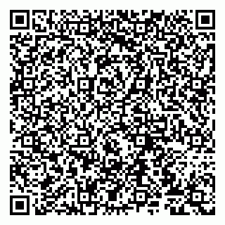 vCard 79807274003