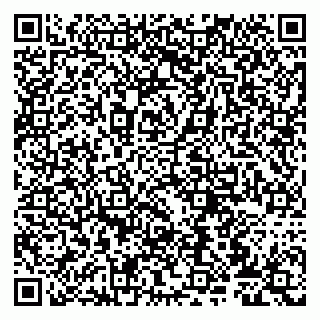 vCard 79807274011