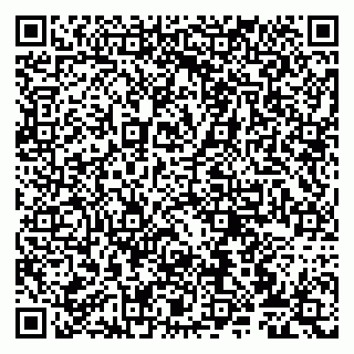 vCard 79807274013