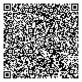 vCard 79807275203