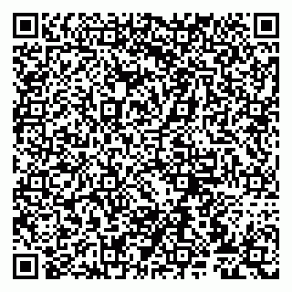 vCard 79807275205
