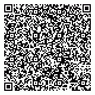vCard 79807275207