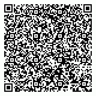 vCard 79807275208
