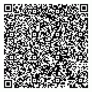 vCard 79807275211
