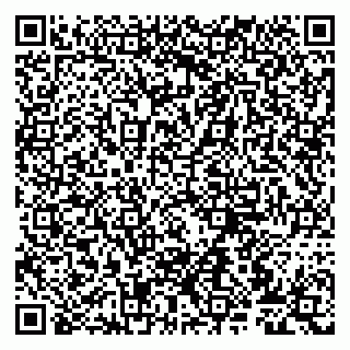 vCard 79807275293