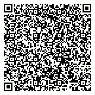 vCard 79807275387