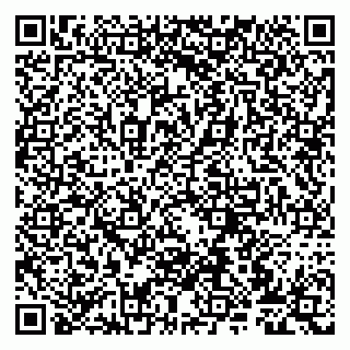 vCard 79807275400