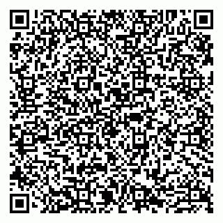 vCard 79807275600