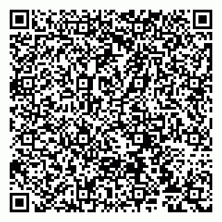vCard 79807275968