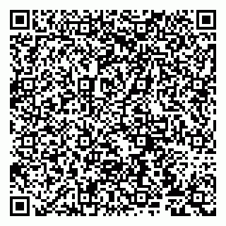 vCard 79807276020