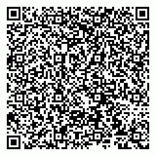 vCard 79807276033