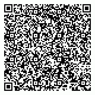 vCard 79807276100