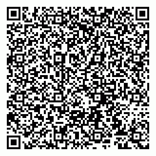 vCard 79807276153