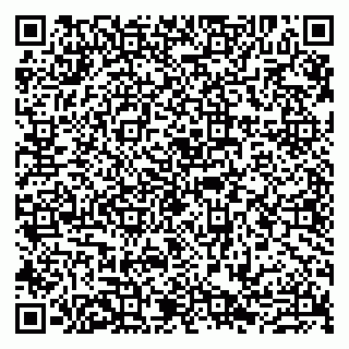 vCard 79807276200