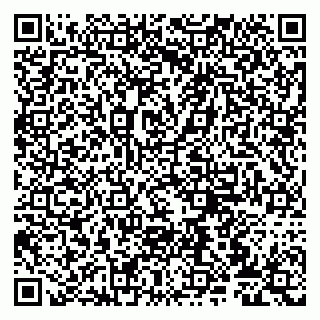 vCard 79807276219