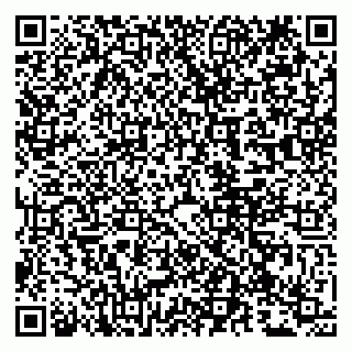 vCard 79807276273