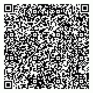 vCard 79807276274