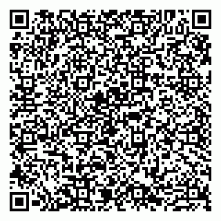 vCard 79807276300