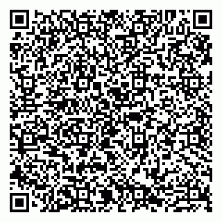 vCard 79807276379